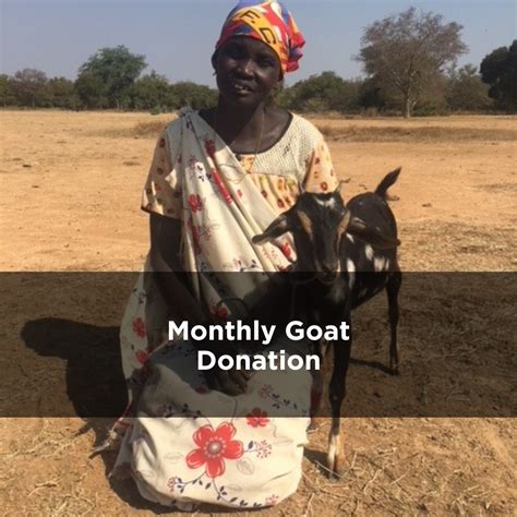 donate a chicken or goat|Donate a goat .